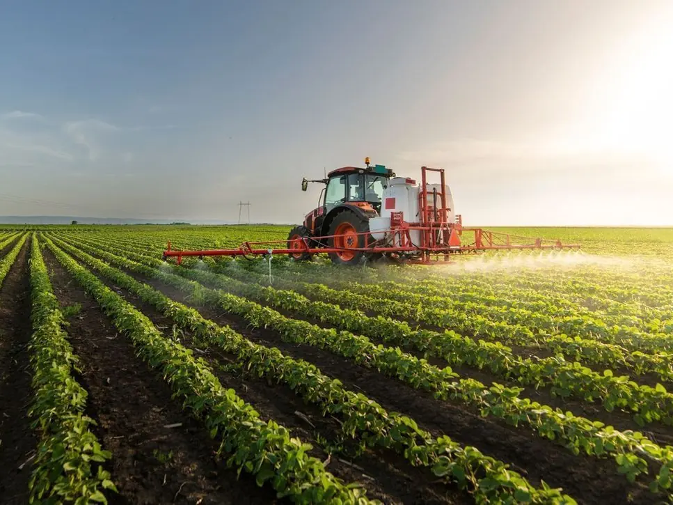 Tractor spraying a green crop field at sunrise, illustrative image